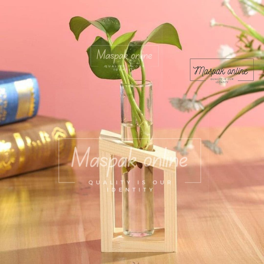 Plant Propagation Station with Wooden Picture Frame, Desktop Home Decor